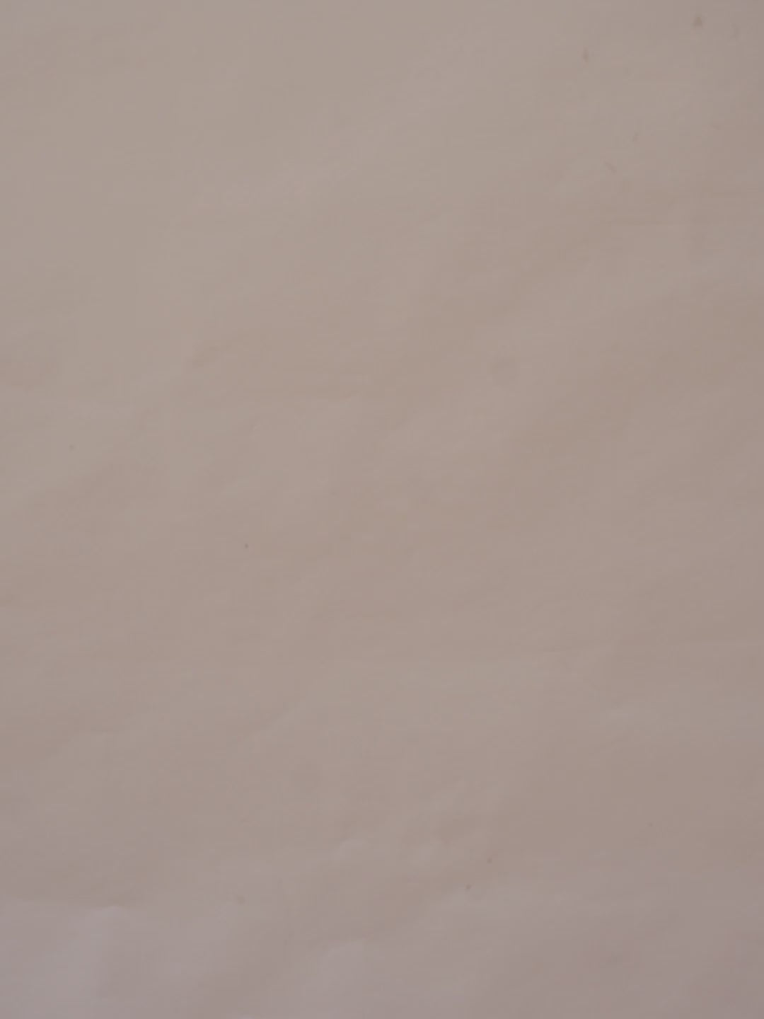 Linen Regular Fit Desert Stride Shirt